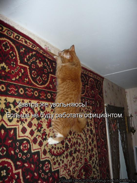 Завтра же увольняюсь! Больше не буду работать официантом.... Котоматрица: Завтра же увольняюсь! Больше не буду работать официантом.