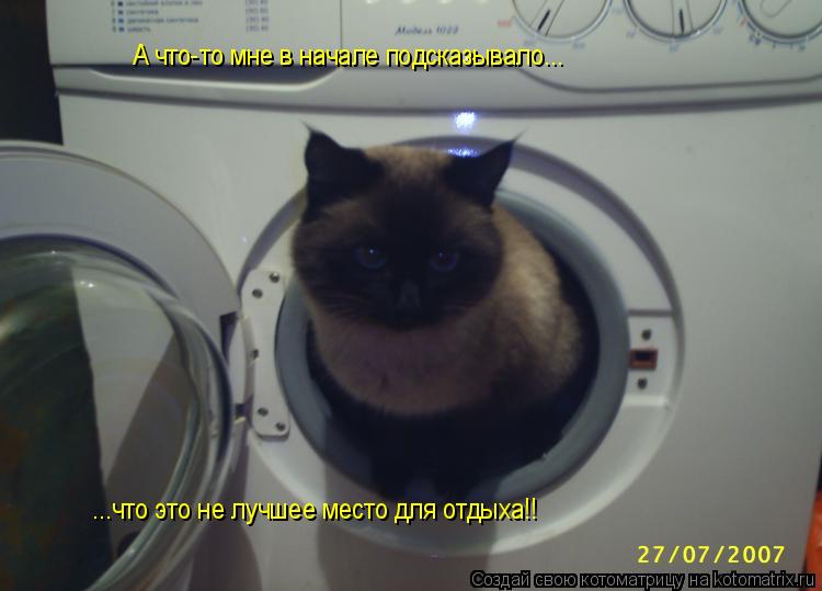 Котоматрица: А что-то мне в начале подсказывало... ...что это не лучшее место для отдыха!!