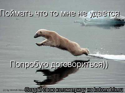 Котоматрица: Поймать что то мне не удаётся Попробую договориться))