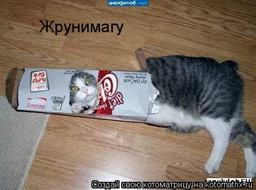 Жрунимагу... Котоматрица: Жрунимагу