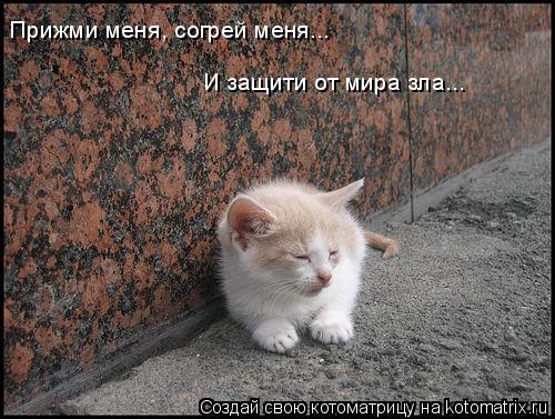 Котоматрица: Прижми меня, согрей меня... И защити от мира зла...