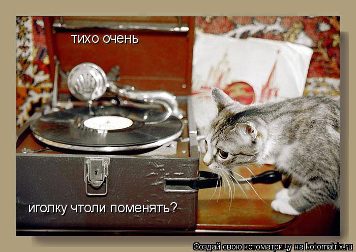 Котоматрица: тихо очень иголку чтоли поменять?