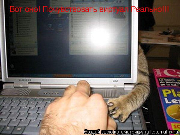 Вот оно! Почувствовать виртуал Реально!!!... Котоматрица: Вот оно! Почувствовать виртуал Реально!!!