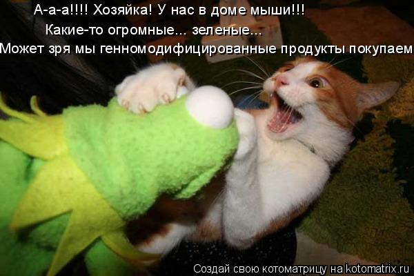Котоматрица: А-а-а!!!! Хозяйка! У нас в доме мыши!!! Какие-то огромные... зеленые... Может зря мы генномодифицированные продукты покупаем