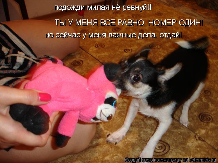подожди милая не ревнуй!! ТЫ У МЕНЯ ВСЕ РАВНО НОМЕР ОДИН! но сейчас у меня важные дела, отдай!... Котоматрица: подожди милая не ревнуй!! ТЫ У МЕНЯ ВСЕ РАВНО НОМЕР ОДИН! но сейчас у меня важные дела, отдай!