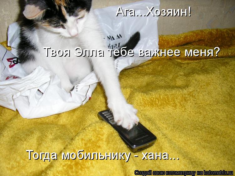 Ага...Хозяин! Твоя Элла тебе важнее меня? Тогда мобильнику - хана...... Котоматрица: Ага...Хозяин! Твоя Элла тебе важнее меня? Тогда мобильнику - хана...