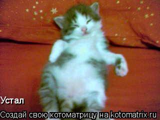 Котоматрица: Устал