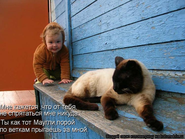 Котоматрица: Ты как тот Маугли,порой по веткам прыгаешь за мной. Мне кажется ,что от тебя, не спрятаться мне никуда.