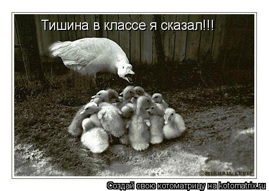 Котоматрица: Тишина в классе я сказал!!!