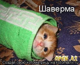 Шаверма... Котоматрица: Шаверма