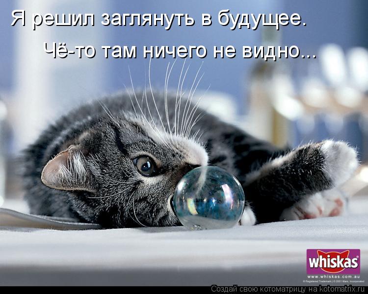 Я решил заглянуть в будущее. Чё-то там ничего не видно...... Котоматрица: Я решил заглянуть в будущее. Чё-то там ничего не видно...