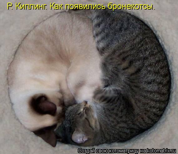Котоматрица: Р. Киплинг. Как появились бронекотсы.