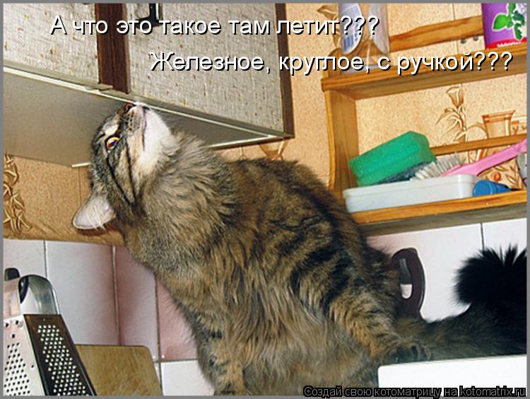А что это такое там летит??? Железное, круглое, с ручкой???... Котоматрица: А что это такое там летит??? Железное, круглое, с ручкой???