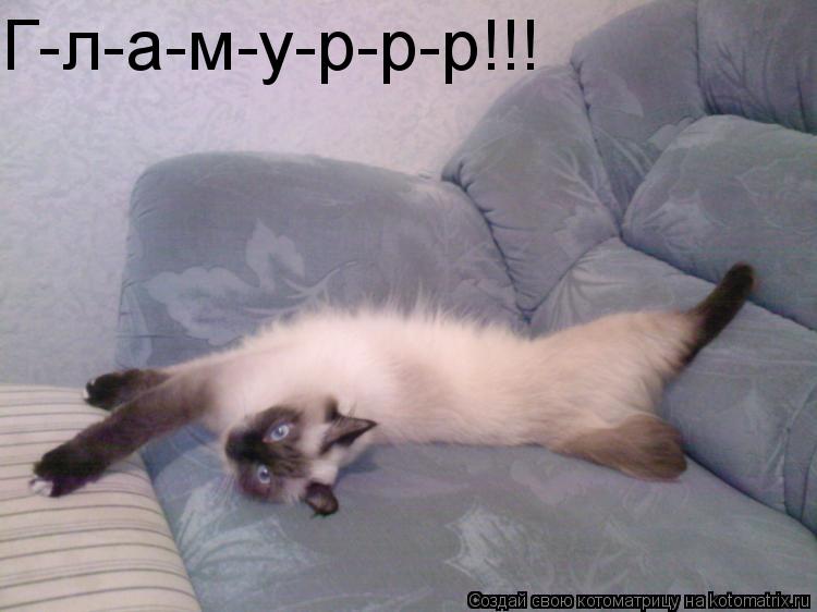 Котоматрица: Г-л-а-м-у-р-р-р!!!