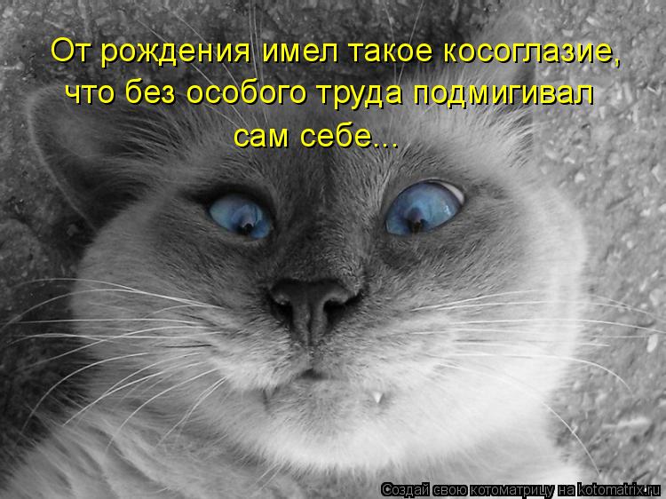 От рождения имел такое косоглазие, что без особого труда подмигивал сам себе...... Котоматрица: От рождения имел такое косоглазие, что без особого труда подмигивал сам себе...