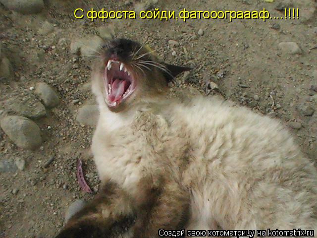 С ффоста сойди,фатооограааф....!!!!... Котоматрица: С ффоста сойди,фатооограааф....!!!!