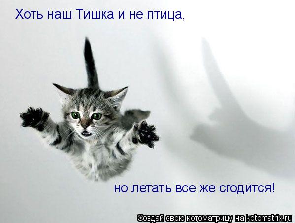 Котоматрица: Хоть наш Тишка и не птица, но летать все же сгодится!