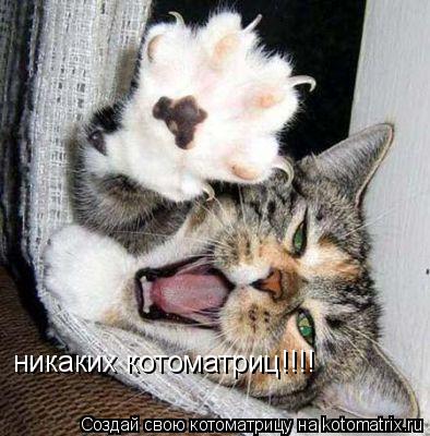 никаких котоматриц!!!!... Котоматрица: никаких котоматриц!!!!
