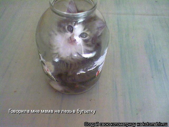 Котоматрица: Говорила мне мама не лезь в бутылку