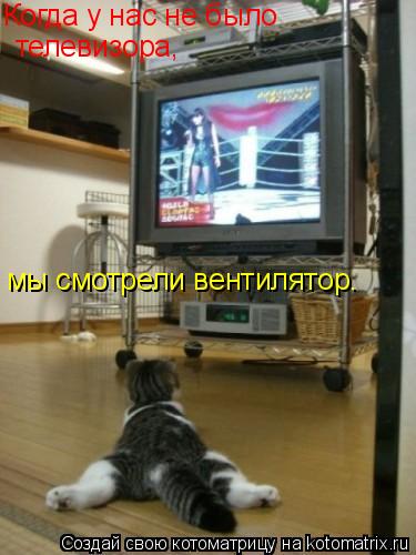 Когда у нас не было телевизора, мы смотрели вентилятор.... Котоматрица: Когда у нас не было телевизора, мы смотрели вентилятор.