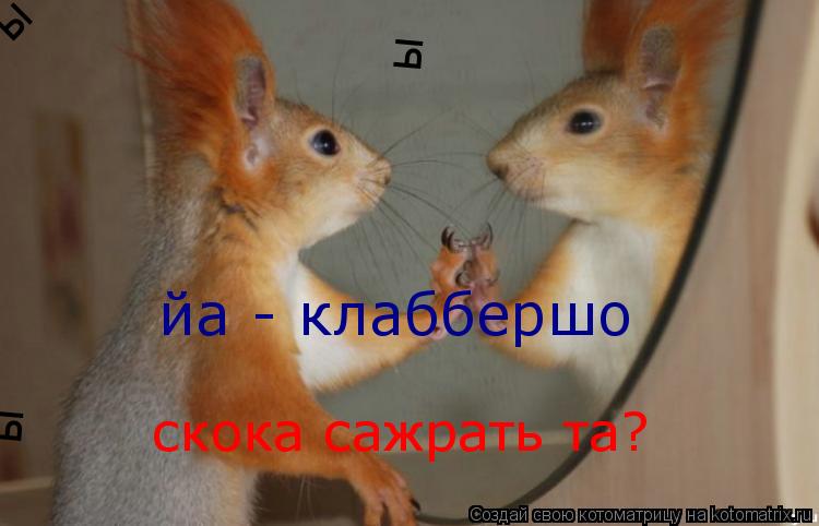 Котоматрица: йа - клаббершо скока сажрать та? ы ы ы