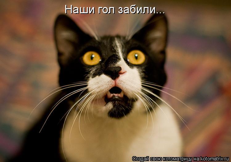 Наши гол забили...... Котоматрица: Наши гол забили...