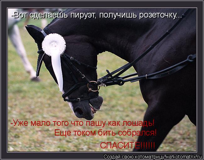 Котоматрица: -Вот сделаешь пируэт, получишь розеточку... -Уже мало того что пашу как лошадь! Еще током бить собрался! СПАСИТЕ!!!!!!