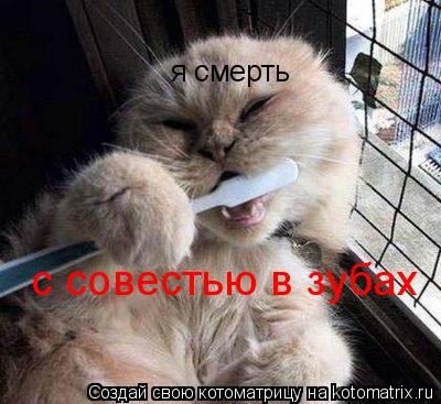 Котоматрица: я смерть с совестью в зубах