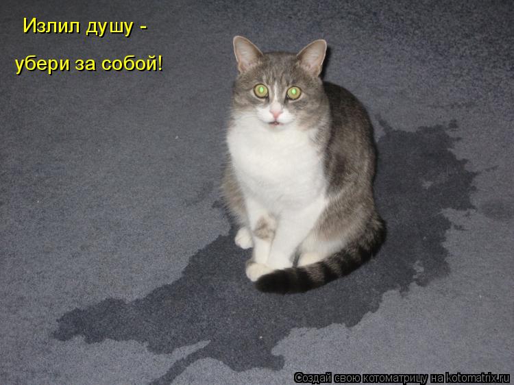 Котоматрица: Излил душу -  убери за собой!