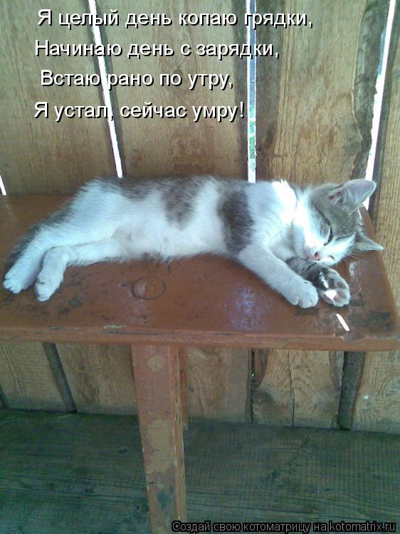 Я целый день копаю грядки, Начинаю день с зарядки, Встаю рано по утру, Я устал, сейчас умру!... Котоматрица: Я целый день копаю грядки, Начинаю день с зарядки, Встаю рано по утру, Я устал, сейчас умру!