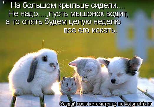 На большом крыльце сидели.... Не надо....,пусть мышонок водит, а то опять будем целую неделю все его ... Котоматрица: На большом крыльце сидели.... Не надо....,пусть мышонок водит, а то опять будем целую неделю все его искать. "