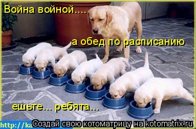 Война войной.... а обед по расписанию ешьте... ребята...... Котоматрица: Война войной.... а обед по расписанию ешьте... ребята...