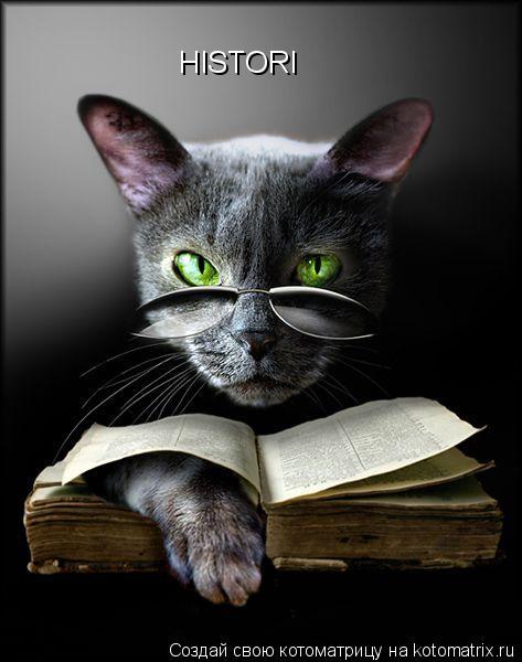 Котоматрица: HISTORI