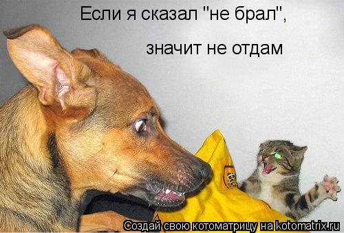 Если я сказал "не брал", значит не отдам... Котоматрица: Если я сказал "не брал", значит не отдам