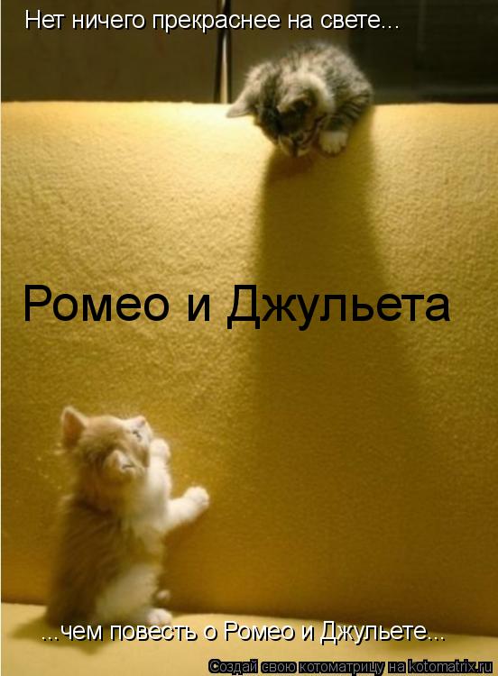 Нет ничего прекраснее на свете... ...чем повесть о Ромео и Джульете... Ромео и Джульета... Котоматрица: Нет ничего прекраснее на свете... ...чем повесть о Ромео и Джульете... Ромео и Джульета