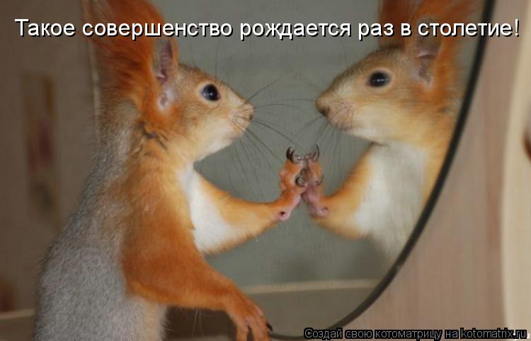 Котоматрица: Такое совершенство рождается раз в столетие!