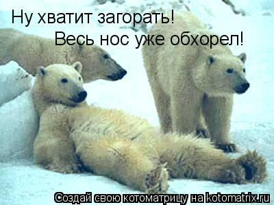 Котоматрица: Ну хватит загорать! Весь нос уже обхорел!