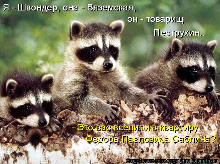 Я - Швондер, она - Вяземская, он - товарищ Пеструхин... - Это вас вселили в квартиру Федора Павлов... Котоматрица: Я - Швондер, она - Вяземская, он - товарищ Пеструхин... - Это вас вселили в квартиру Федора Павловича Саблина?