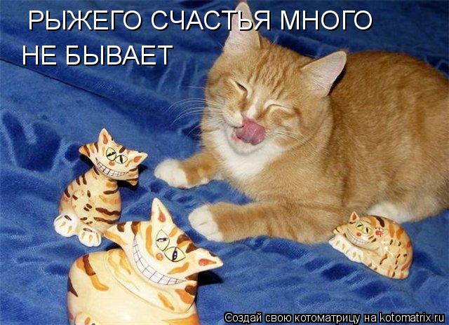 Котоматрица: РЫЖЕГО СЧАСТЬЯ МНОГО  НЕ БЫВАЕТ