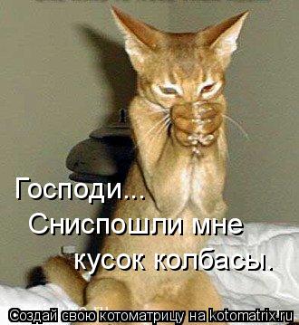 Господи... Сниспошли мне кусок колбасы.... Котоматрица: Господи... Сниспошли мне кусок колбасы.