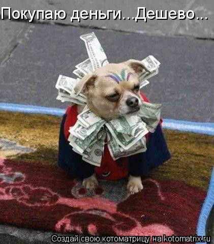Покупаю деньги...Дешево...... Котоматрица: Покупаю деньги...Дешево...