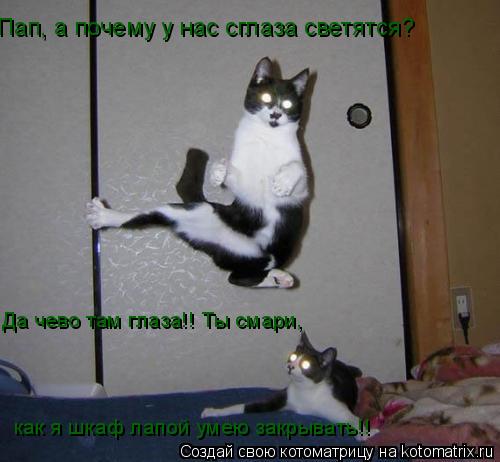 Котоматрица: Пап, а почему у нас сглаза светятся? Да чево там глаза!! Ты смари,  как я шкаф лапой умею закрывать!!