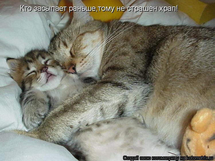 Котоматрица: Кто засыпает раньше,тому не страшен храп!