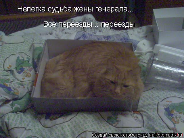 Нелегка судьба жены генерала... Всё переезды... переезды...... Котоматрица: Нелегка судьба жены генерала... Всё переезды... переезды...