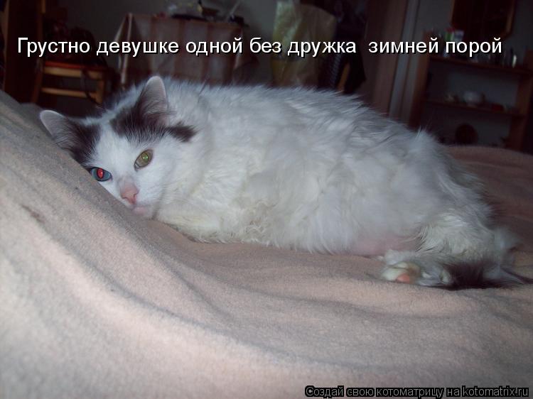 Котоматрица: Грустно девушке одной без дружка  зимней порой