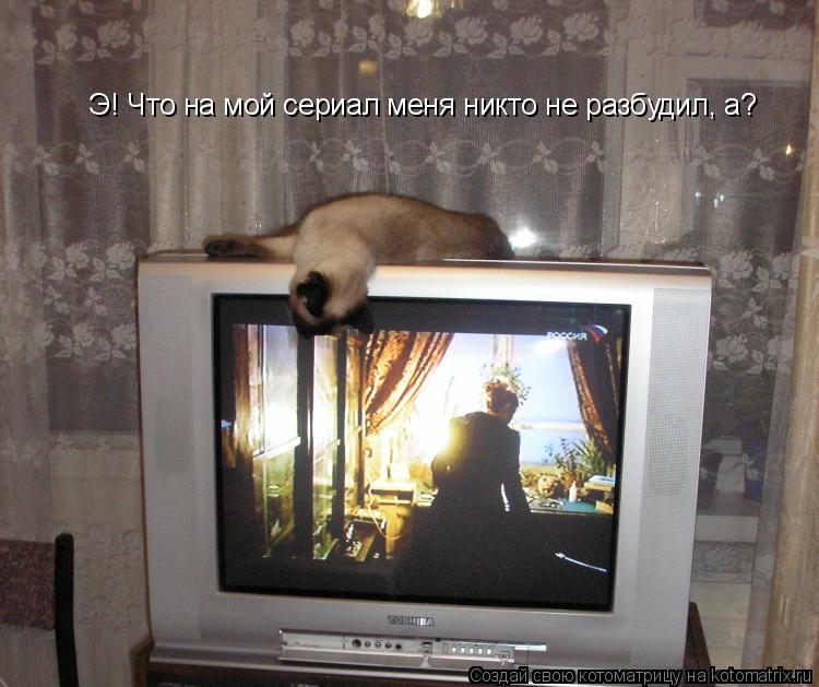 Э! Что на мой сериал меня никто не разбудил, а?... Котоматрица: Э! Что на мой сериал меня никто не разбудил, а?