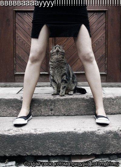 ввввваааауууу!!!!!!!!!!!!!!!!!!!!!!!!!!!!!!!!!!!!!... Котоматрица: ввввваааауууу!!!!!!!!!!!!!!!!!!!!!!!!!!!!!!!!!!!!!