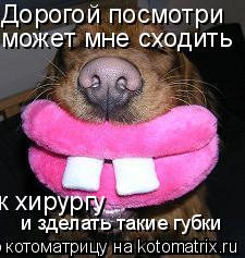 Дорогой посмотри может мне сходить к хирургу и зделать такие губки... Котоматрица: Дорогой посмотри может мне сходить к хирургу и зделать такие губки