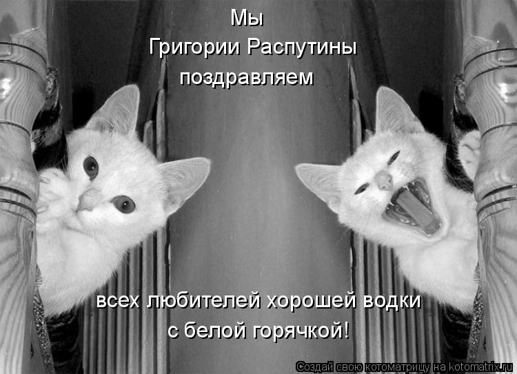 Котоматрица: Мы Григории Распутины поздравляем  всех любителей хорошей водки с белой горячкой!