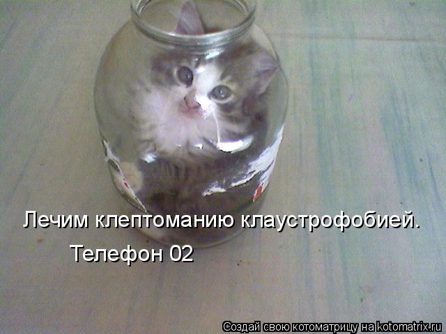 Котоматрица: Лечим клептоманию клаустрофобией.  Телефон 02